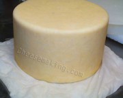 Mesophilic Cheese Culture (5)